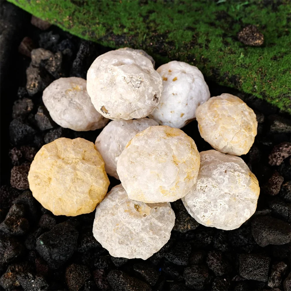 Natural Unopened Agate Geode Raw Crystals